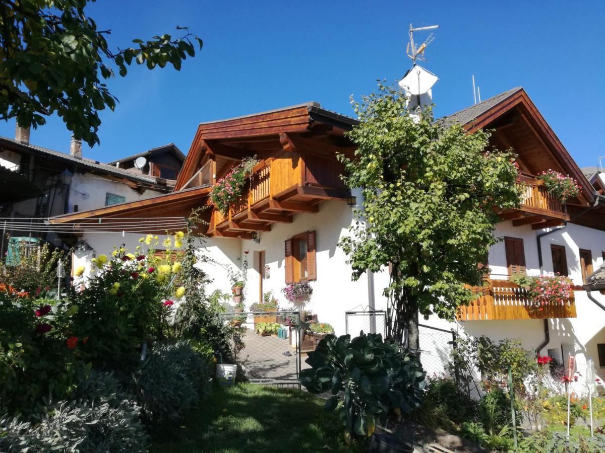 La Cesura Bed & Breakfast Carano  Ngoại thất bức ảnh